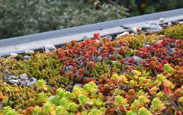 the cost of Essington green roof installation